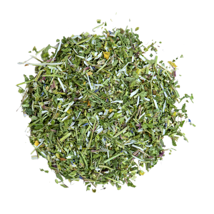 Helmkraut / Scullcap - 25g