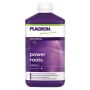 Power Roots , 1L