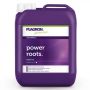 Power Roots, 5L