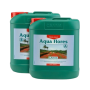 Aqua Flores A&B, 2x5L