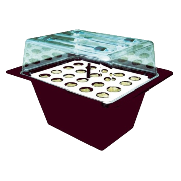 X-Stream, aeroponisches Stecklingsgewächshaus für bis zu 20 Pflanzen, 59 x 46,5 x 44 cm