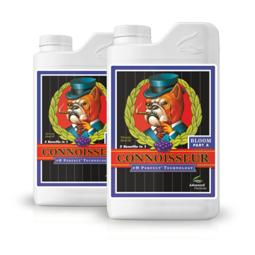 Connoisseur Bloom A&B, 2x1L