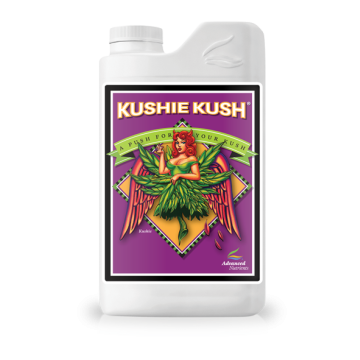 Kushie Kush, 1L