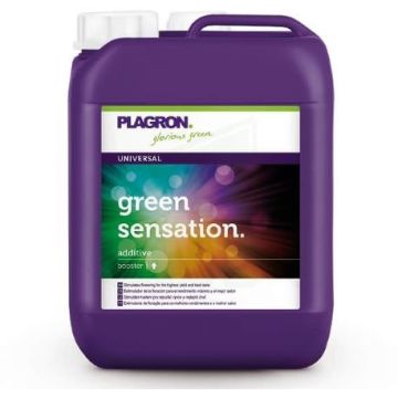 Green Sensation, 5L
