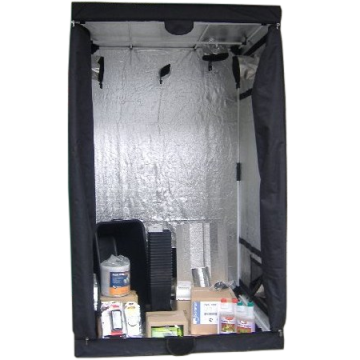 1 Pflanze Sparset (40x40)