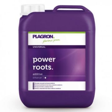 Power Roots, 5L