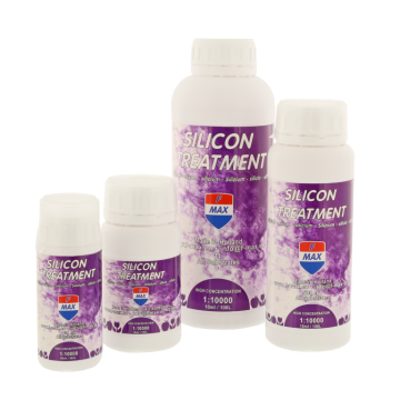 Silicon Treatment