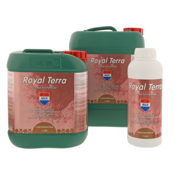 Royal Terra