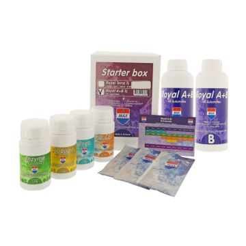 Starter Set Royal A+B, 1L