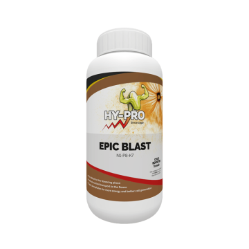 Epic Blast, 500ml