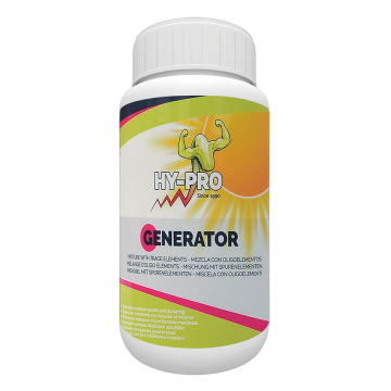Generator, 500ml