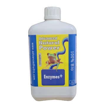 Enzymes, 1L