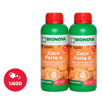 Coco Forte A+B