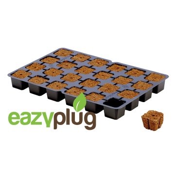 Anzuchtwürfel CT24, 24Stk