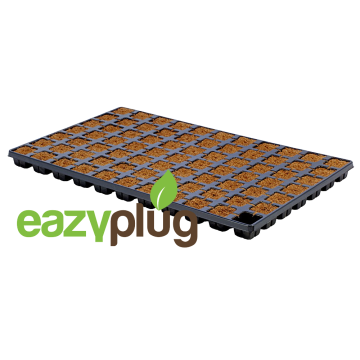 Anzuchtwürfel CT77, 77Stk