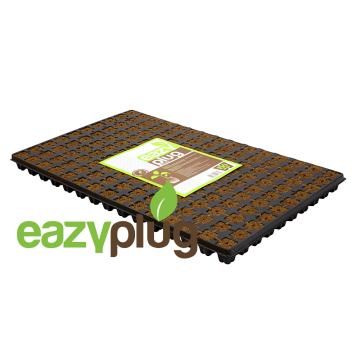 Anzuchtwürfel CT150, 150Stk