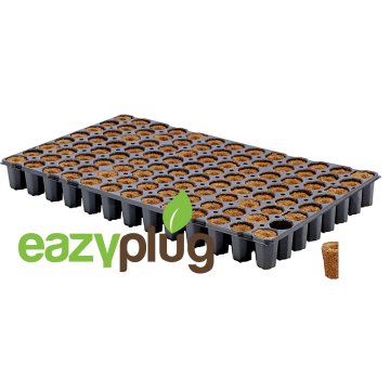 Anzuchtwürfel CT104C, 104Stk