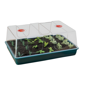 XL High Dome Propagator Zimmer-Gewächshaus, 58x40x22.5cm