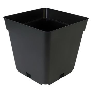 Topf Viereckig 1.55 L 13x13x13cm