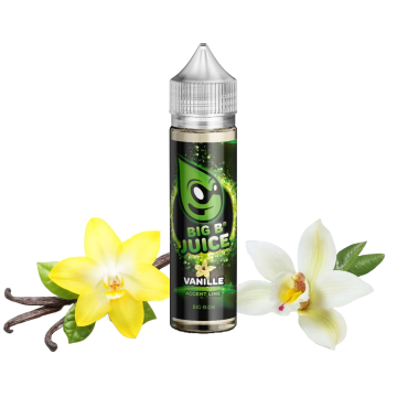 Accent Line - Vanilla, 50ml