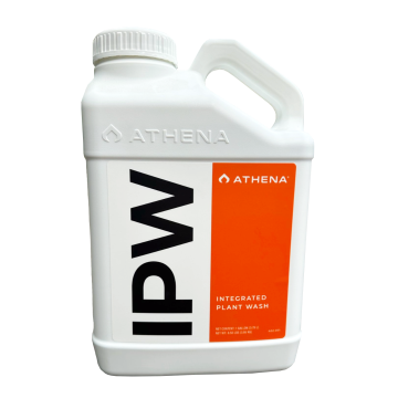 IPW (ehem. IPM), 3.8L