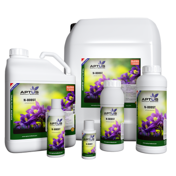 Premium Collection - N-Boost