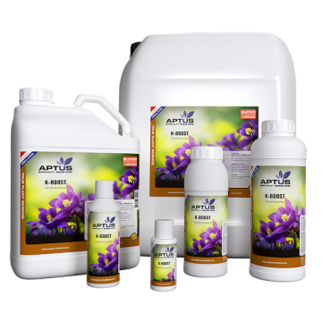 Premium Collection - K-Boost