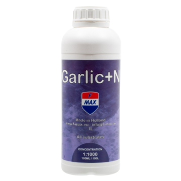 Garlic+N