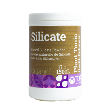 Silicate, 1L, 600g
