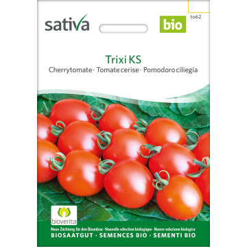 Trixi KS – Cherrytomate Bio
