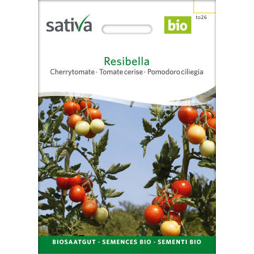 Resibella – Cherrytomate Bio