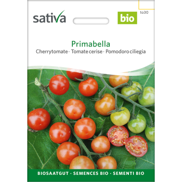 Primabella – Cherrytomate Bio