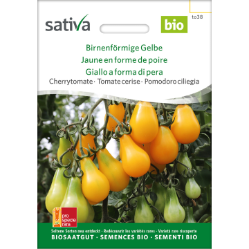 Sativa Birnenförmige Gelbe – Cherrytomate Bio