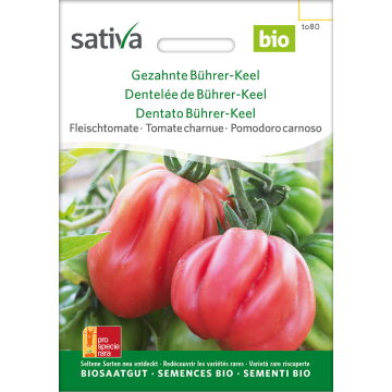 Gezahnte Bührer-Keel – Fleischtomate Bio
