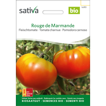 Rouge de Marmande – Fleischtomate Bio