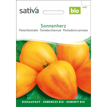 Sonnenherz – Fleischtomate Bio