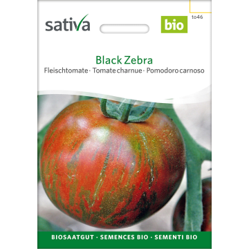 Black Zebra – Fleischtomate Bio