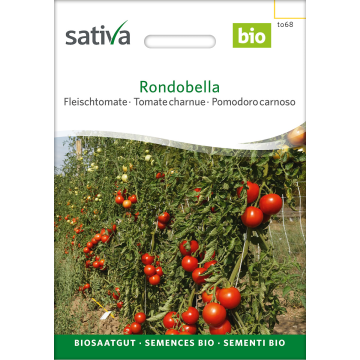 Rondobella – Fleischtomate Bio