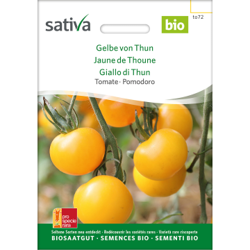 Gelbe von Thun - Tomate Bio