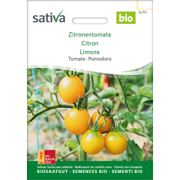 Zitronentomate - Tomate Bio