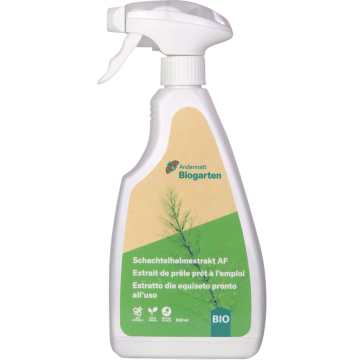 Schachtelhalm-Extrakt AF, 500 ml