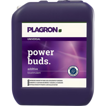 Power Buds, 5L