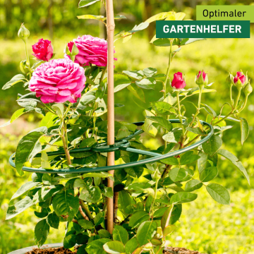 Pflanzenring 40 cm – 3er-Set zur Stabilisierung und Wuchsführung