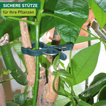 Pflanzenclips FIX – 12er-Set zur einfachen Pflanzenbefestigung