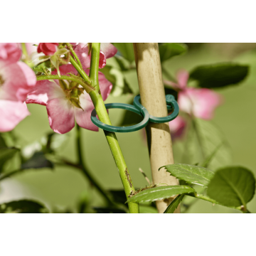 Ringbinder – 25-teiliges Set zur flexiblen Pflanzenfixierung