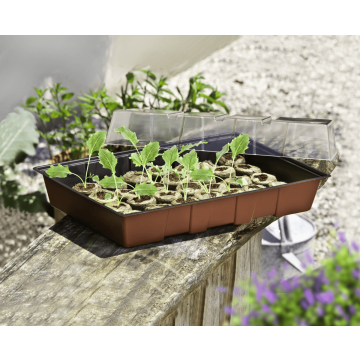 Fensterbank-Treibhaus Maxi mit 24 Quelltabs – Perfektes Starter-Set für die Anzucht