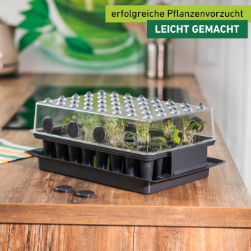 Wurzelvorschule RootXtender – Das smarte Zimmergewächshaus für starke Pflanzenwurzeln