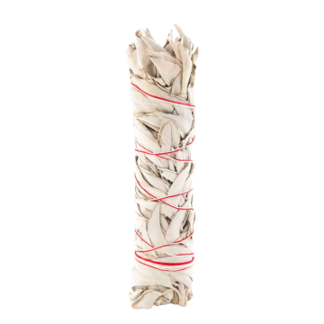 Weißer Salbei Smudge Stick