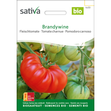 Brandywine – Fleischtomate Bio