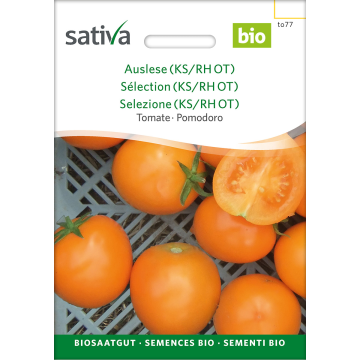 Auslese (KS/RH OT) - Tomate Bio